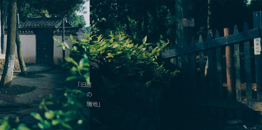 雷竞技比分